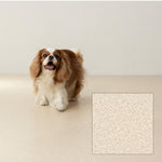 イエローサンド