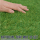簡単設置 ジョイント式 人工芝生マット (30 x 30cm)［10枚入り］