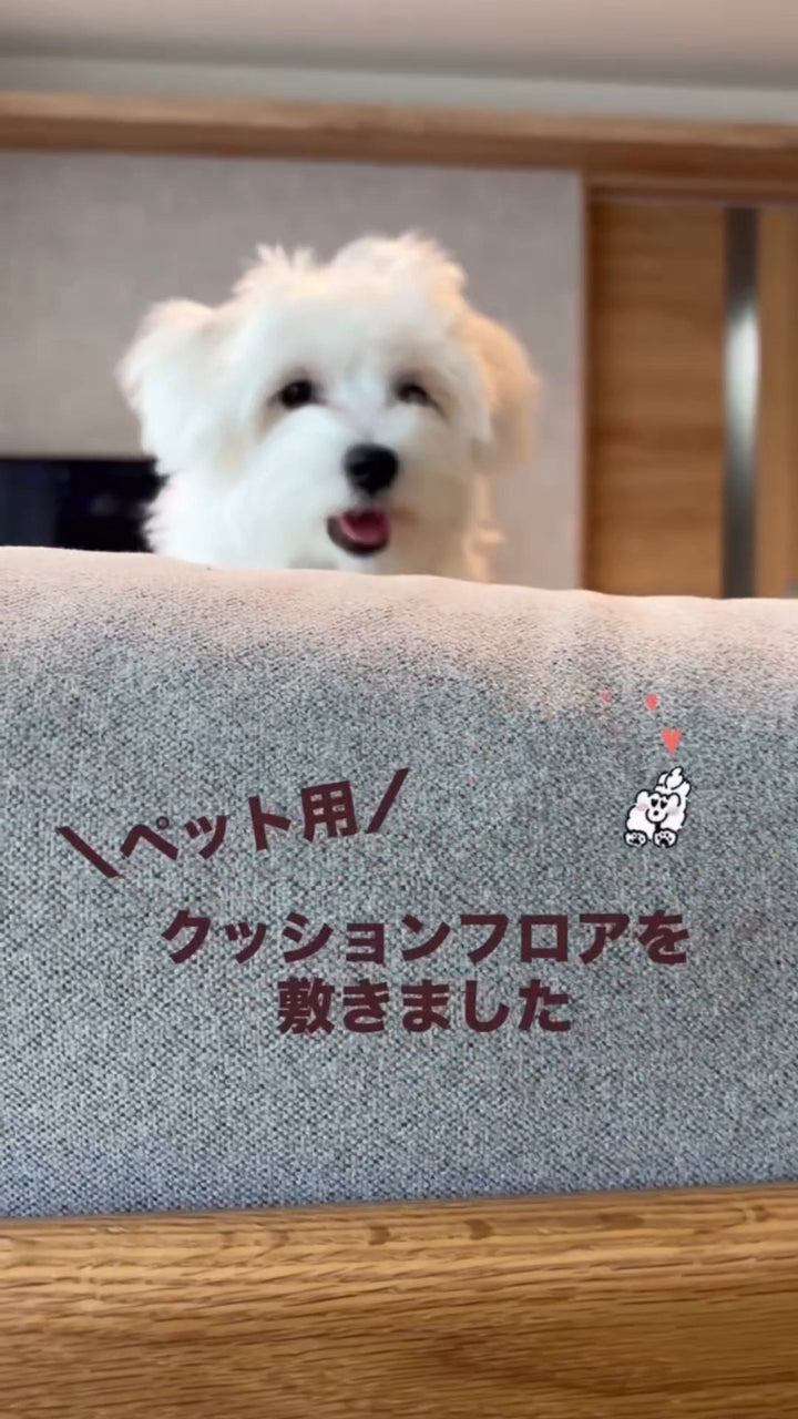 素敵な投稿をご紹介🐶🤎 @easter__family 様が、 UTOPIEの「極厚クッションフロア」をご自宅に敷いた様子を投稿してくださいました✨ まるで本物のフローリングのような見た目で、 わんちゃんが走り回るお部屋にもぴったり。 「トイレを失敗してもフローリングを守れる」 「見た目がすっきり」 「カットして敷くだけで使いやすい」 など、実際に使っていただいた感想もご紹介いただいています😊 今回使用いただいているカラーは 「チークウォールナット」です🌿 素敵な投稿をありがとうございま