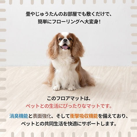 敷くだけで簡単に使えるクッションフロア！ 犬猫の足腰を守るために作られた特殊仕様！ 厚みが通常の倍の3.5ミリ！ 水がこぼれても弾くので拭きやすく臭いも付きにくい防臭機能付き #クッションフロア #クッションフロアdiy