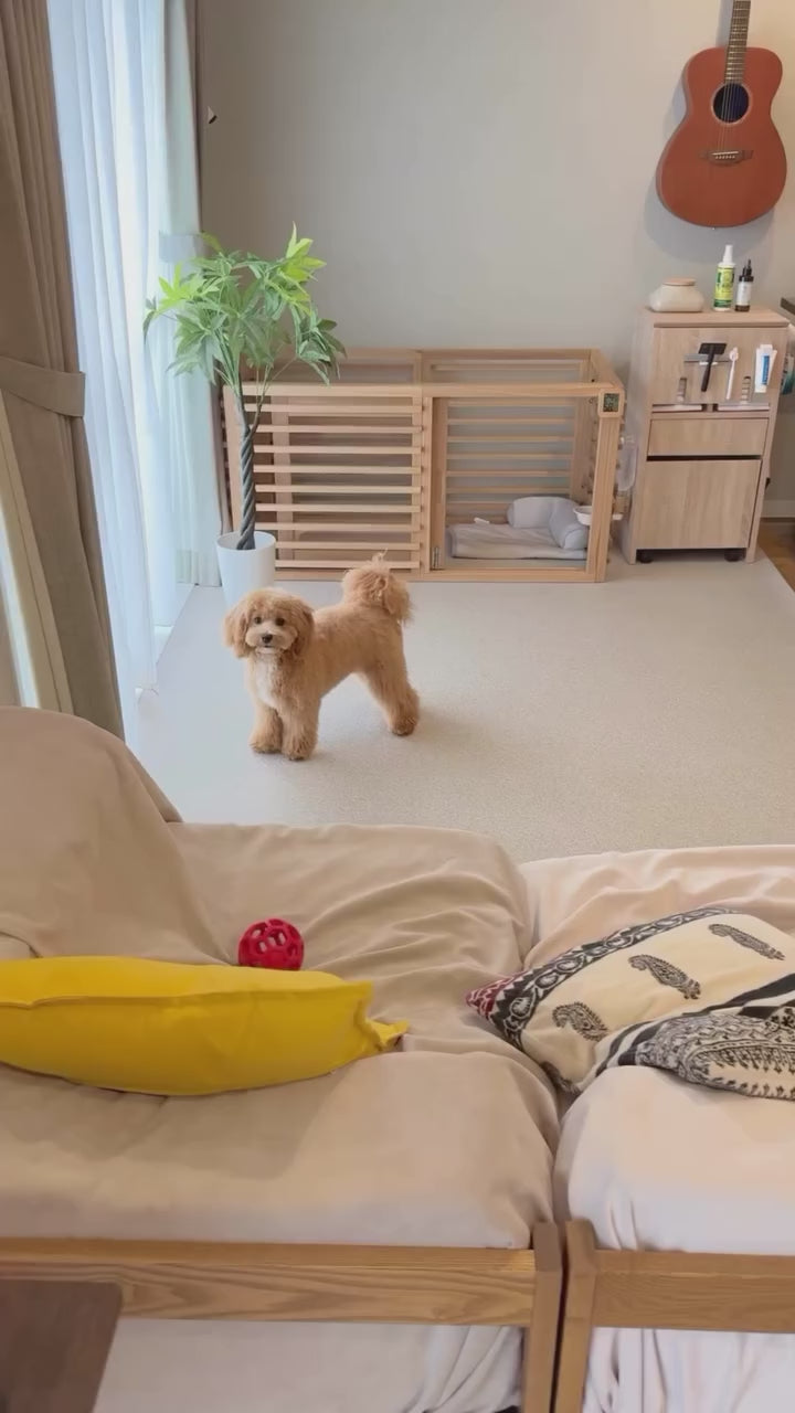 instagram-18073768805419605.mp4