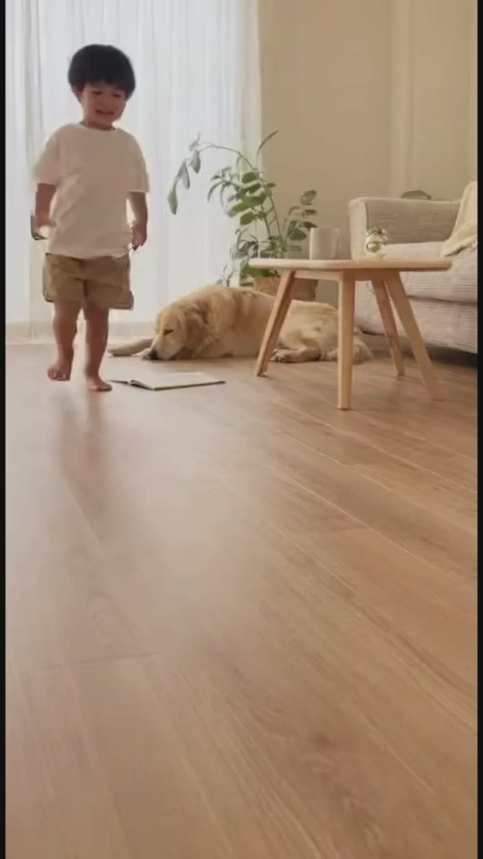 instagram-18072608579277126.mp4