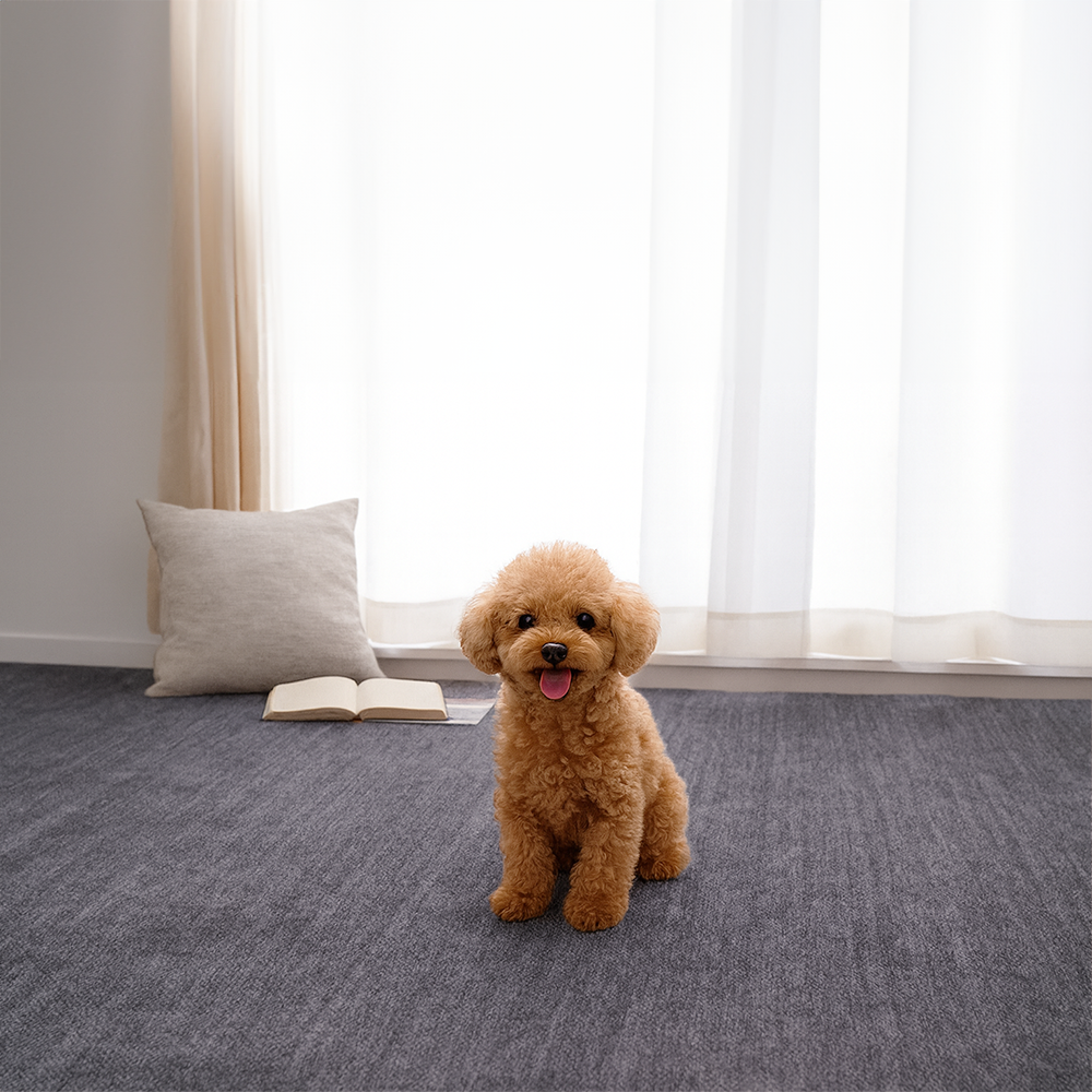 ペットにやさしい フリーカット 平織カーペット