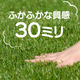 【2月20日頃発送】高密度リアル人工芝 芝丈30mm U字ピンセット  水はけ抜群 芝生 庭 簡単 ベランダ 防草シート 雑草 テラス ペット 人工芝生 雑草対策 釘 防カビ 高品質 芝丈3cm メンテナンスフリー