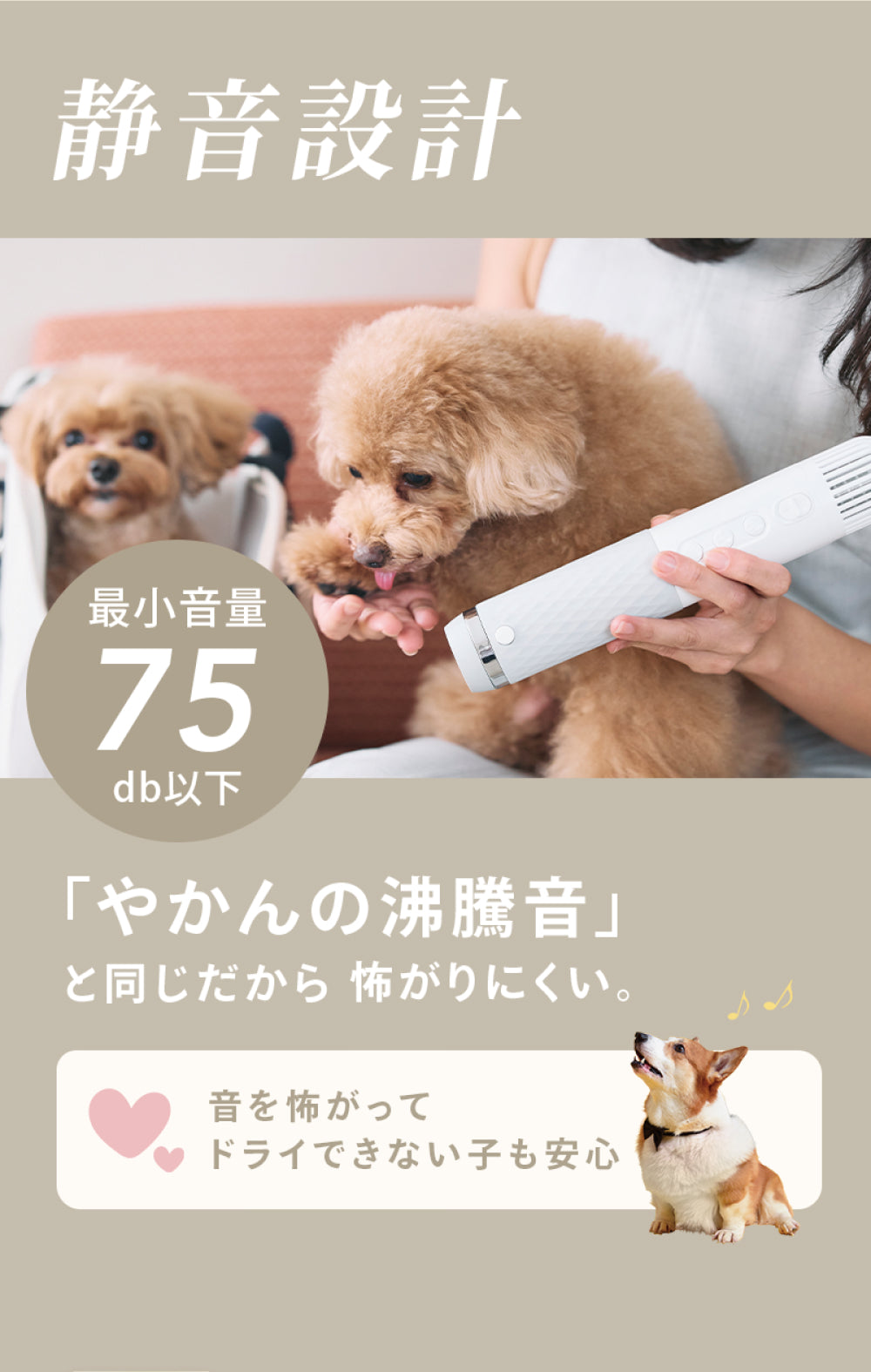 ペット犬猫用 高濃度イオン 速乾低温ドライヤー ハンディタイプ 温度