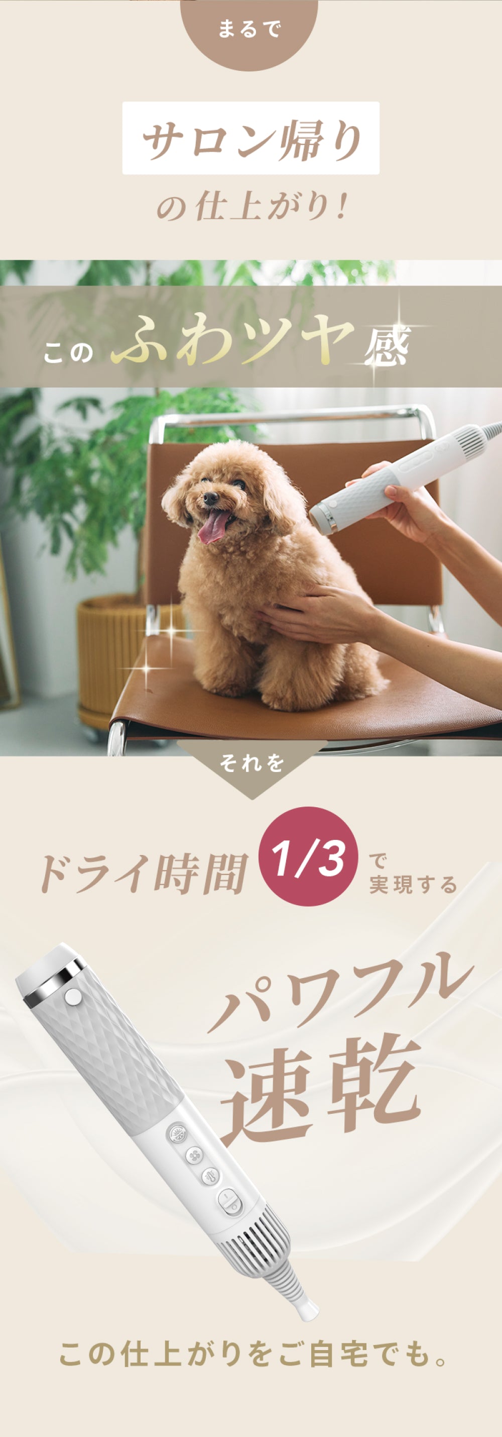 ペット犬猫用 高濃度イオン 速乾低温ドライヤー ハンディタイプ 温度