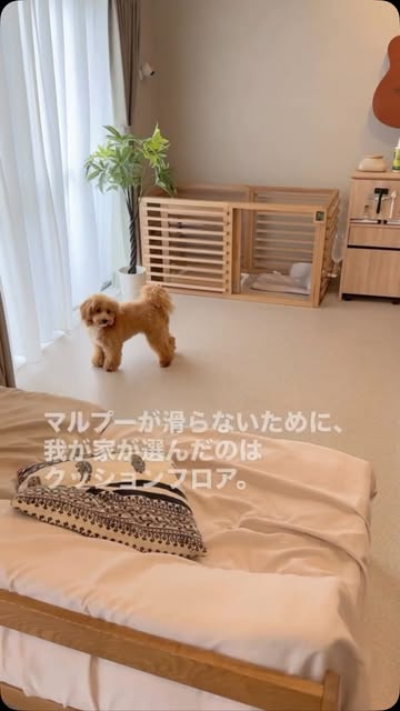 ペットと暮らす部屋のクッションフロア紹介
